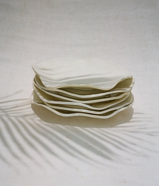 Dinner Plate set of 6